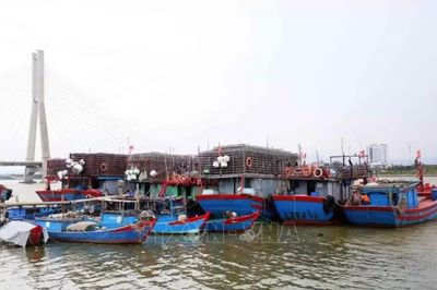 Khẩn trương đưa tàu thuyền vào nơi tránh trú áp thấp nhiệt đới