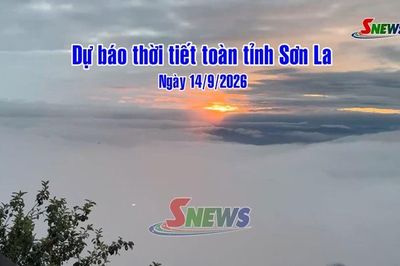 Dự báo thời tiết toàn tỉnh Sơn La ngày 14/9/2026
