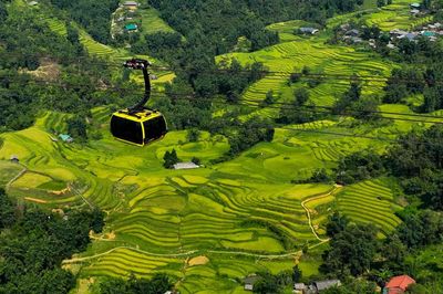 4 lý do khiến bạn muốn xách balo lên Fansipan ngay mùa thu này