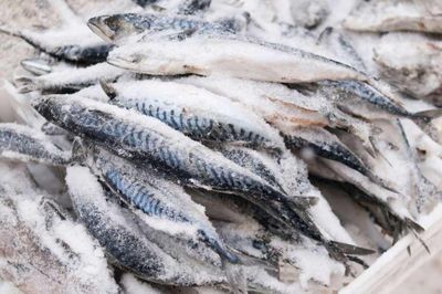 VASEP: Gỡ chồng chéo kiểm tra nhập khẩu, giảm chi phí cho chuỗi thủy sản