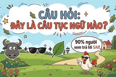 90% người chơi trả lời sai, bạn có tự tin tìm ra đáp án?