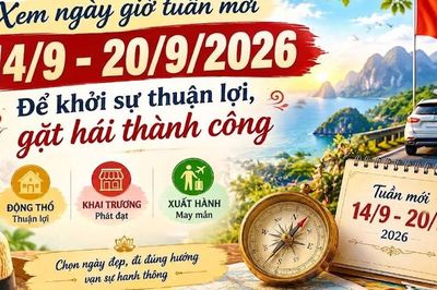 Xem ngày giờ tuần mới 14/9 - 20/9/2026 để khởi sự thuận lợi, gặt hái thành công