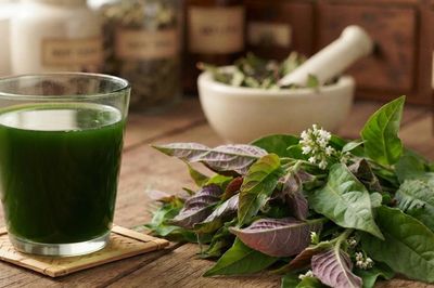 Nước ép lá mơ lông có tốt nếu uống hằng ngày?