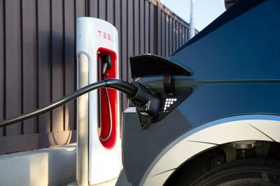 Đối thủ nào chờ sẵn khi Tesla bán chính hãng ở Việt Nam?