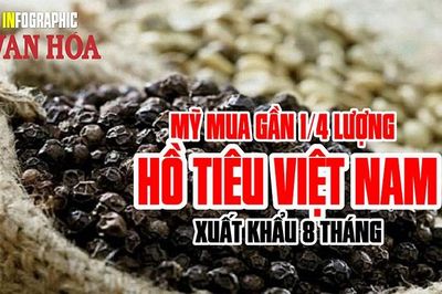 Mỹ mua gần 1/4 lượng hồ tiêu Việt Nam xuất khẩu 8 tháng