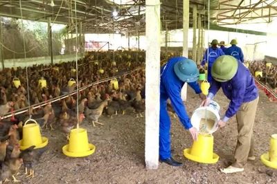Nâng chất giáo dục nghề nghiệp vùng khó ở Phú Thọ