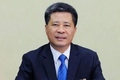Gelex lên tiếng về việc nguyên Chủ tịch EVNNPT bị khởi tố