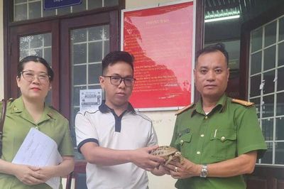 Người dân tự nguyện giao nộp rùa hộp ba vạch quý hiếm