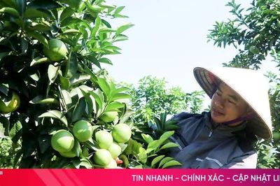 Phát huy hiệu quả nguồn vốn, tạo sinh kế bền vững ở Đồng Lộc
