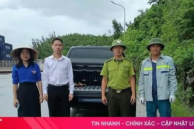 Bàn giao cá thể trăn gấm nặng 7kg