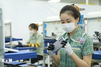 Thái Nguyên chuyển từ thu hút FDI sang kiến tạo hệ sinh thái công nghiệp