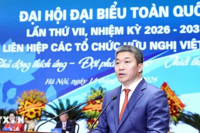 Ông Phan Anh Sơn tái đắc cử Chủ tịch Liên hiệp các tổ chức hữu nghị Việt Nam