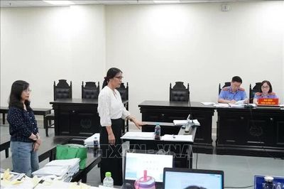 Tòa hủy án sơ thẩm, điều tra lại vụ cựu Hiệu trưởng Nguyễn Thị Bình