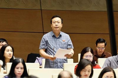 Tiếp tục hoàn thiện chính sách, pháp luật về đất đai