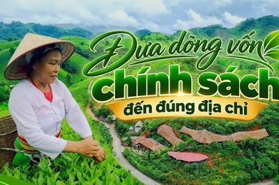 Đưa dòng vốn chính sách đến đúng địa chỉ