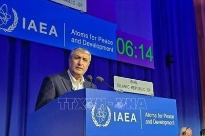 Iran phản đối việc quan chức năng lượng không thể tham dự Hội nghị IAEA
