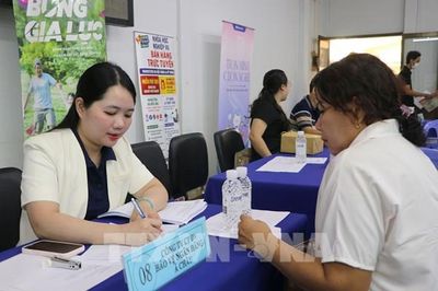 Thành phố Hồ Chí Minh kết nối hơn 15.400 vị trí việc làm đến người lao động