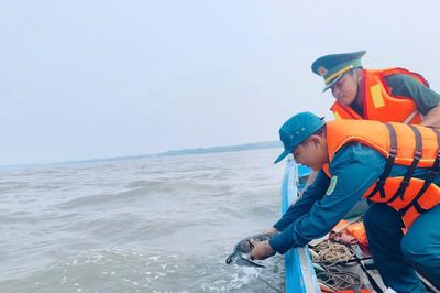 Phát hiện cá thể vích nặng 3kg, thả về biển