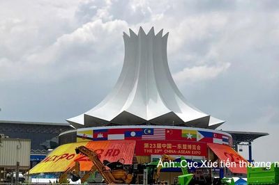 Doanh nghiệp Việt Nam sẵn sàng tham dự CAEXPO 2026
