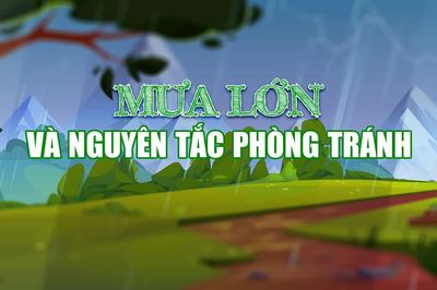 Mưa lớn và nguyên tắc phòng tránh