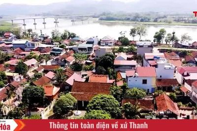 Đình làng Chí Cường - nơi lưu giữ hồn quê xứ Thanh