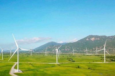 Loạt dự án điện gió, điện mặt trời tổng quy mô hơn 560ha tại Khánh Hoà sắp được đấu thầu lựa chọn nhà đầu tư