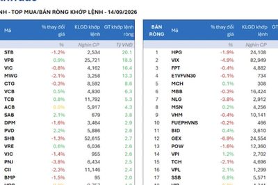 Khối ngoại mua ròng đột biến hơn 800 tỷ đồng