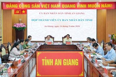 95,84% hộ dân đồng ý chủ trương thành lập 22 phường ở An Giang