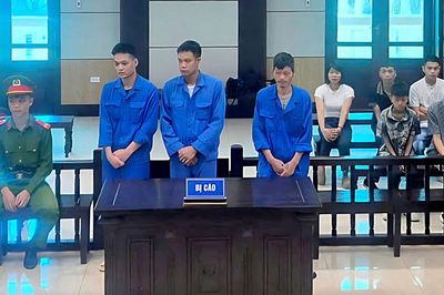Lĩnh án tù vì trộm cắp tài sản