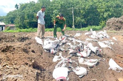 Xử lý nghiêm vi phạm về môi trường