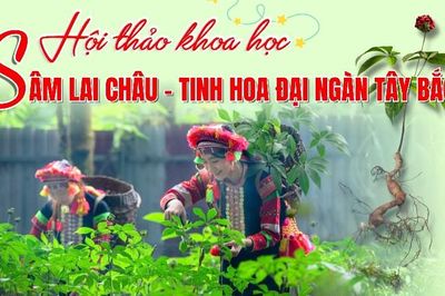 Hội thảo khoa học 'Sâm Lai Châu - Tinh hoa đại ngàn Tây Bắc'