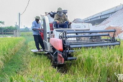Chủ động mùa vụ để giảm rủi ro thiên tai