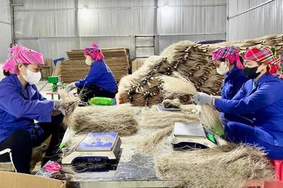 Đặc sản vùng cao tìm đường ra thị trường toàn cầu