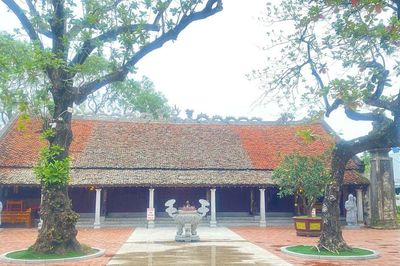 Thái Miếu Nhà Lê ngày nay