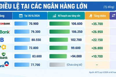 Nhà băng nào sẽ là cái tên đầu tiên chạm mốc 100.000 tỷ đồng vốn điều lệ?