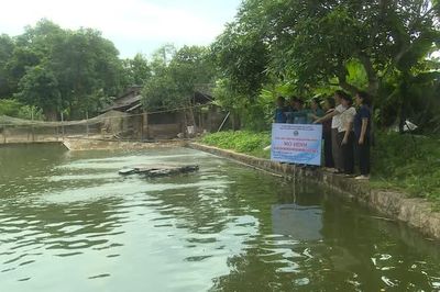 Hơn 1,2 tỷ đồng triển khai các mô hình khuyến nông