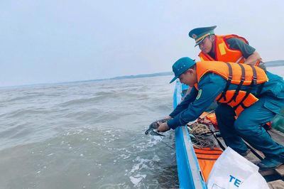 Thả cá thể vích quý hiếm về biển