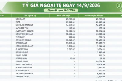 Tỷ giá ngoại tệ ngày 14/9: USD trên 26.000 đồng, EUR vượt 30.800 đồng