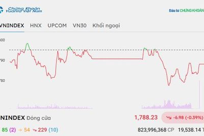 Chứng khoán chốt phiên 14/9: VN-Index giảm gần 7 điểm, khối ngoại mua ròng hơn 800 tỷ đồng