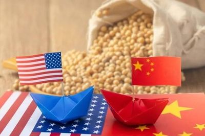 Trung Quốc tăng tốc mua nông sản Hoa Kỳ trước thềm chuyến thăm của ông Tập Cận Bình