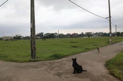 Đất tái định cư bỏ trống, dân vạn chài cần đất lại không được vào