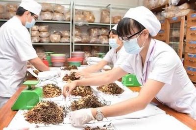 Chú trọng phối hợp giữa y học cổ truyền và y học hiện đại