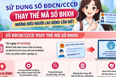 Sử dụng số căn cước công dân thay thế mã số BHXH: Những điều người lao động cần biết