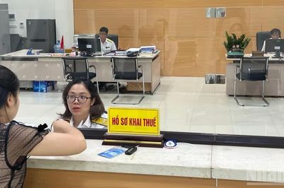 Làm sạch mã số thuế, gỡ vướng cho người bị mạo danh thành lập doanh nghiệp