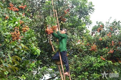 Dù gặp khó khăn, xuất khẩu nông nghiệp vẫn tăng