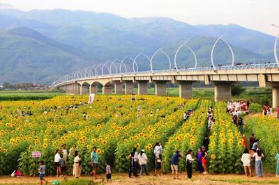 Xã Vu Gia cần phát huy lợi thế nông nghiệp, kết hợp phát triển dịch vụ trải nghiệm