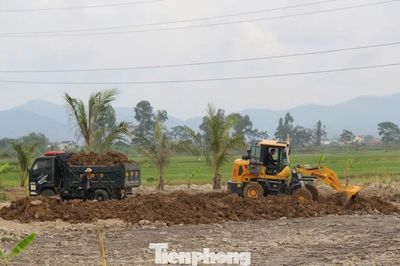 San lấp hơn 4.000m² đất lúa, bị phạt 70 triệu đồng