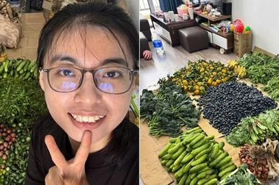 Cử nhân Luật bỏ việc về bán rau củ quả ở Hà Nội, có ngày bán 250kg