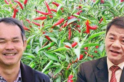 DN do ông Trần Bá Dương làm Chủ tịch: Lỗ lũy kế 13.200 tỷ, không còn tên Bầu Đức