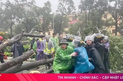 Khuyến cáo một số biện pháp phòng ngừa nguy hiểm từ cây xanh gãy, đổ